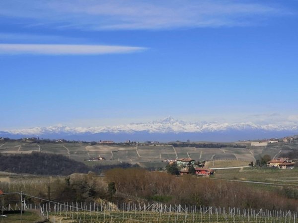 azienda agricola in vendita a Monforte d'Alba