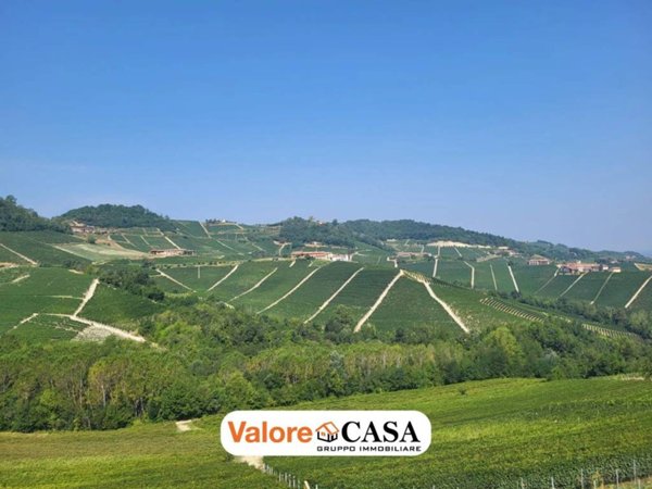 casa indipendente in vendita a Monforte d'Alba
