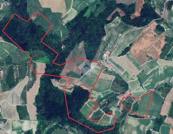 terreno edificabile in vendita a Monforte d'Alba
