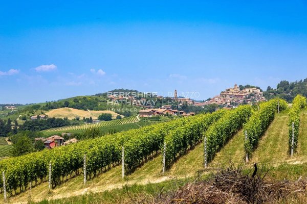 casale in vendita a Monforte d'Alba