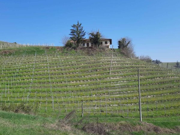 casa indipendente in vendita a Monforte d'Alba