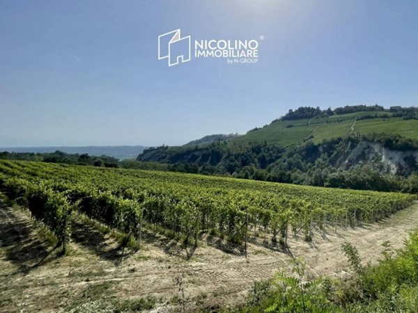 terreno agricolo in vendita a Monforte d'Alba
