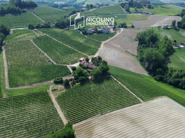 azienda agricola in vendita a Monforte d'Alba