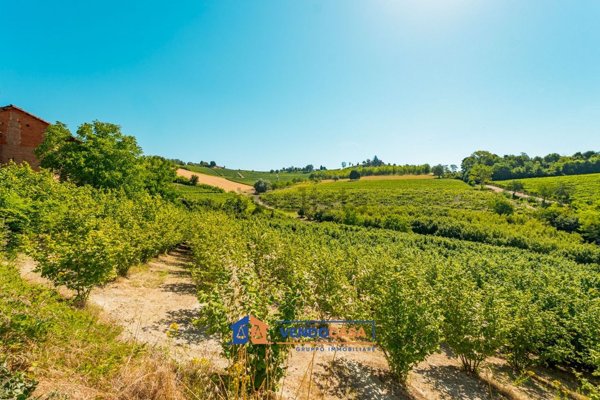 terreno agricolo in vendita a Monforte d'Alba