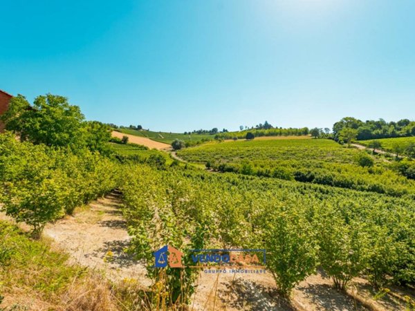 terreno agricolo in vendita a Monforte d'Alba