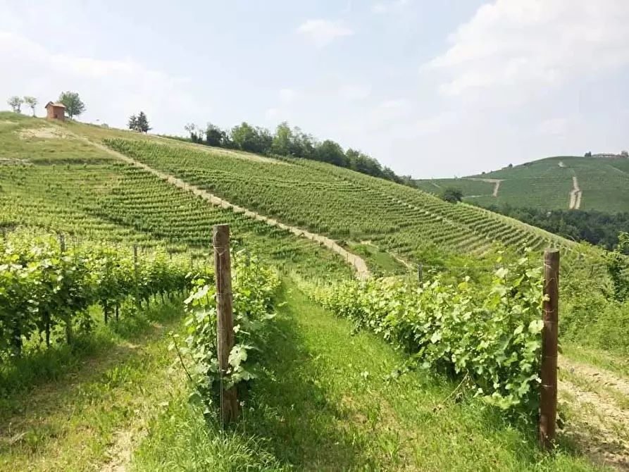 terreno in vendita a Monforte d'Alba
