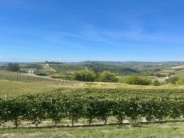 terreno in vendita a Monforte d'Alba