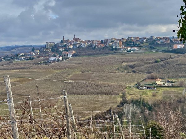 terreno edificabile in vendita a Montelupo Albese