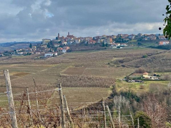 negozio in vendita a Montelupo Albese