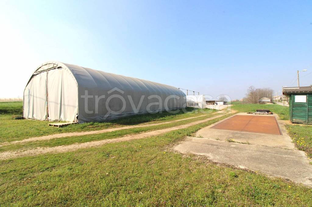 terreno agricolo in vendita a Monteu Roero