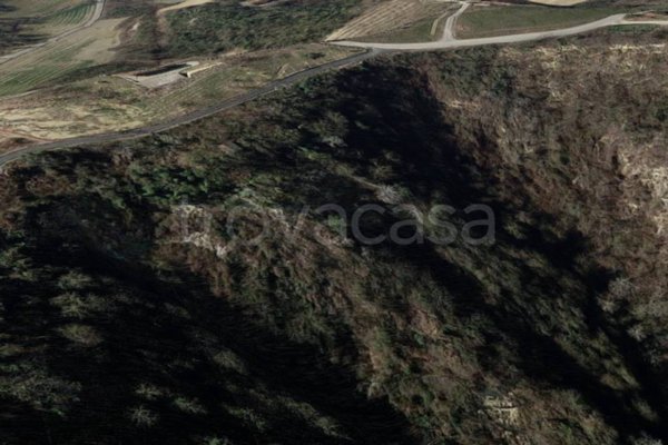 terreno agricolo in vendita a Monteu Roero