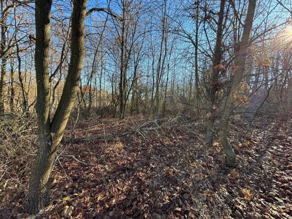 terreno agricolo in vendita a Montezemolo