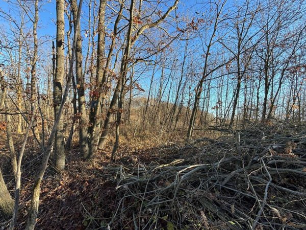 terreno agricolo in vendita a Montezemolo