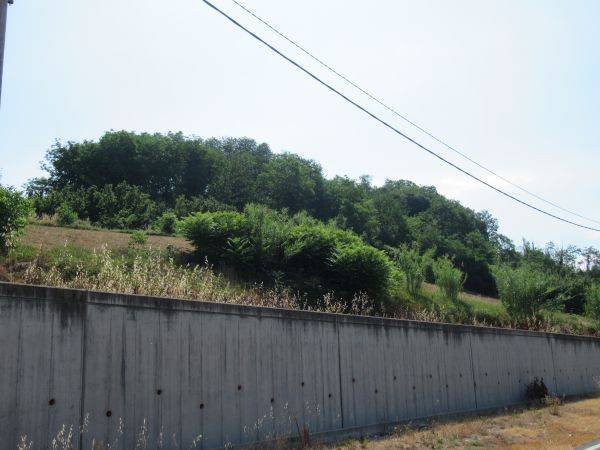 casa indipendente in vendita a Monticello d'Alba