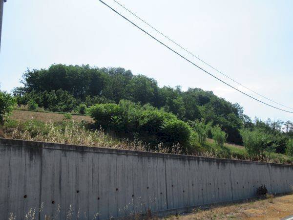 casa indipendente in vendita a Monticello d'Alba