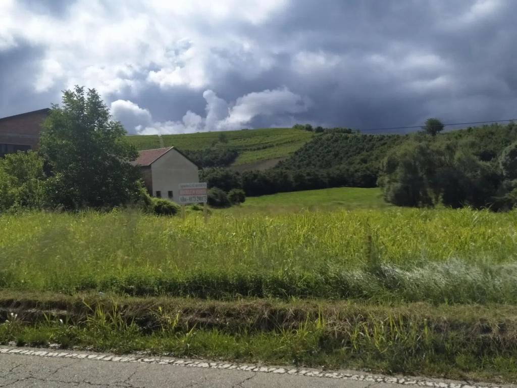 terreno agricolo in vendita a Monticello d'Alba