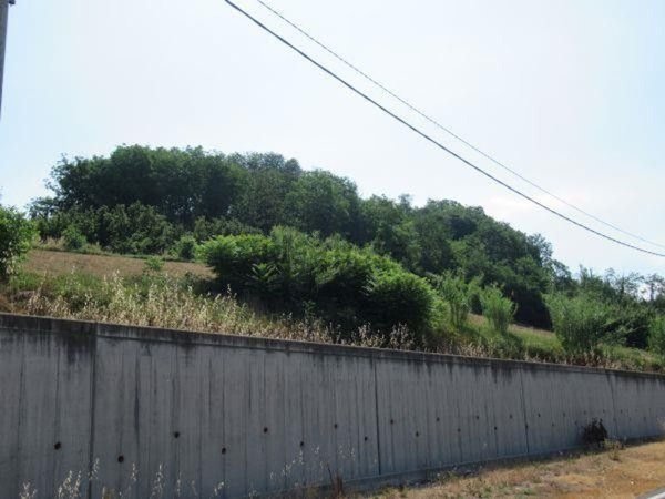 casa indipendente in vendita a Monticello d'Alba