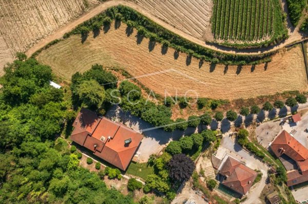 villa in vendita a Monticello d'Alba