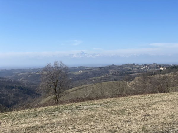 casa indipendente in vendita a Murazzano