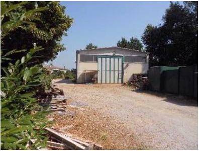 locale commerciale in vendita a Narzole