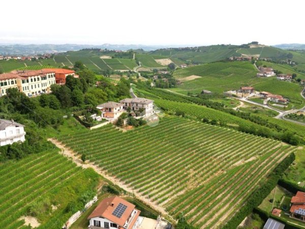 terreno agricolo in vendita a Neive