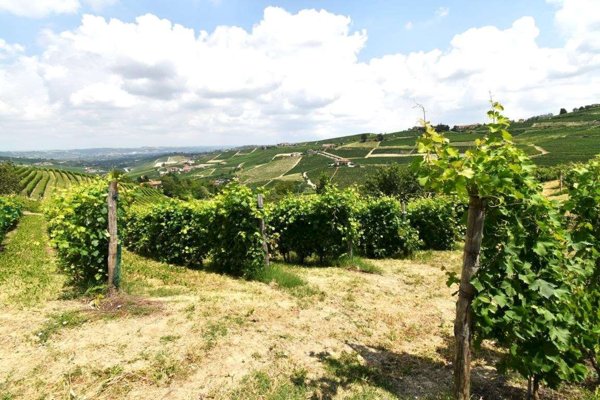 casale in vendita a Neive