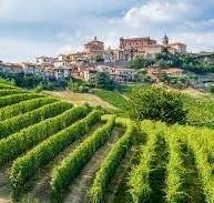 terreno agricolo in vendita a Neive