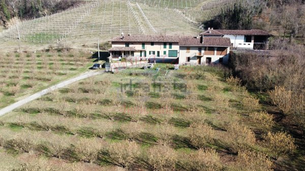 pentavano in vendita a Neive