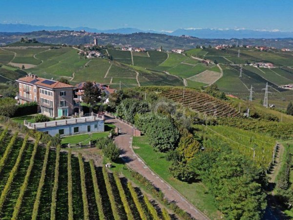 casa indipendente in vendita a Neive