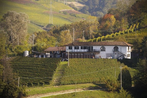 esavano in vendita a Neive