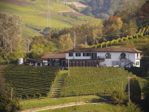 esavano in vendita a Neive