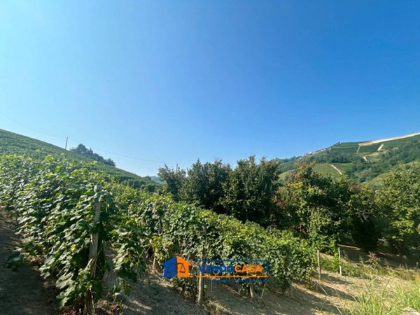 locale commerciale in vendita a Neviglie