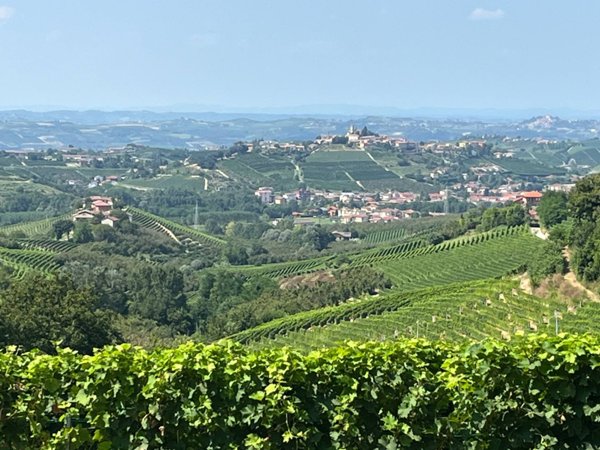 casale in vendita a Neviglie