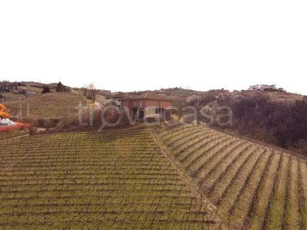 terreno agricolo in vendita a Neviglie