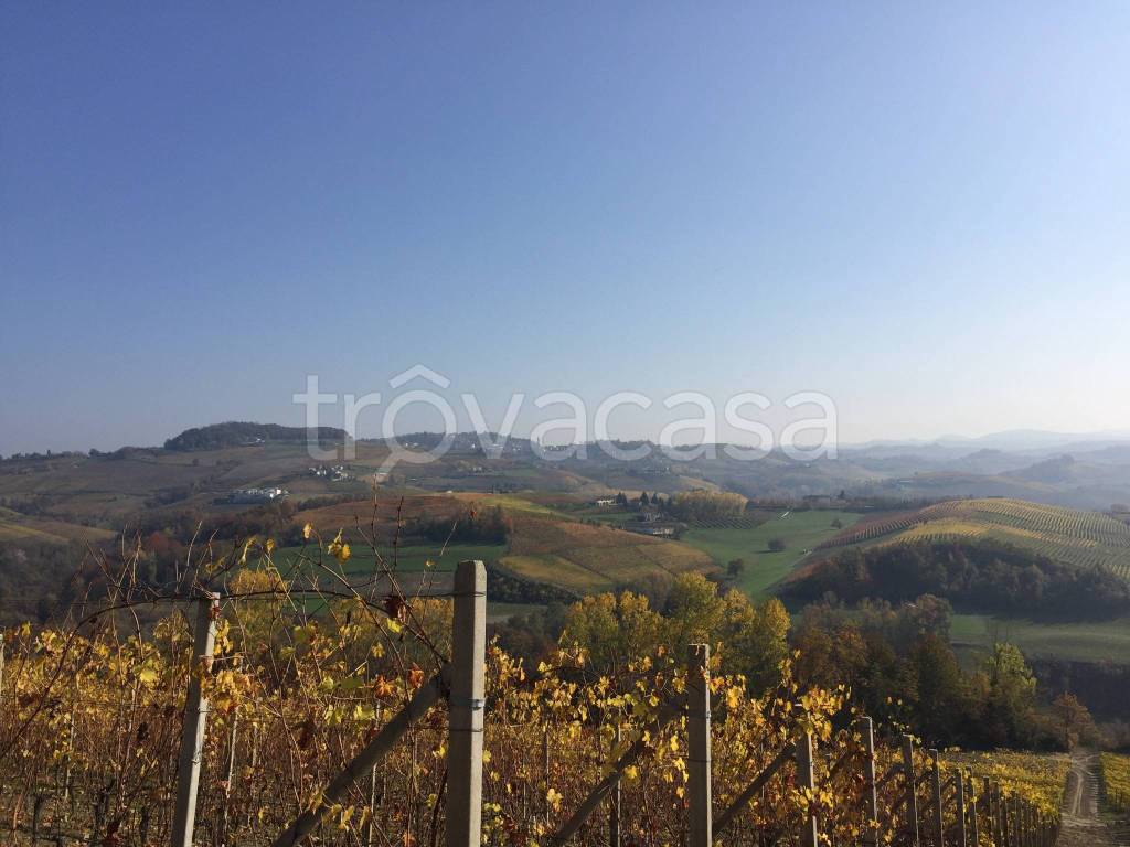 terreno agricolo in vendita a Novello