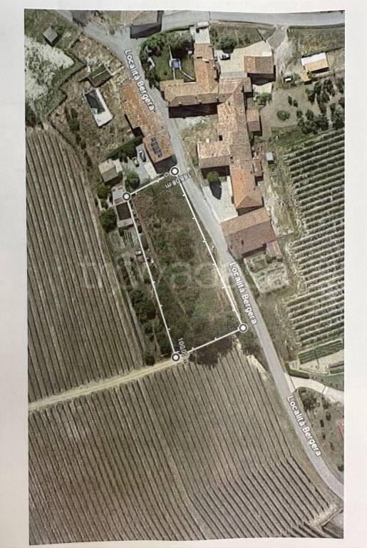 terreno agricolo in vendita a Novello