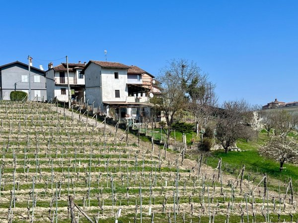 appartamento in vendita a Novello