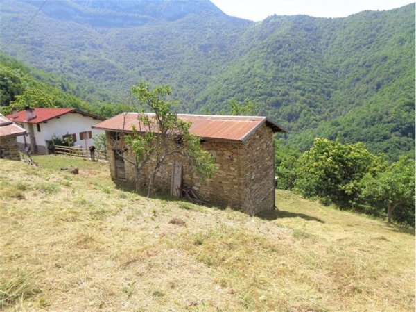 casa indipendente in vendita ad Ormea