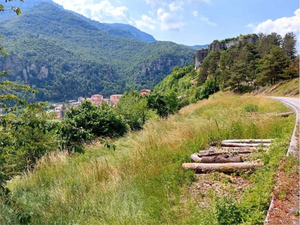 terreno agricolo in vendita ad Ormea