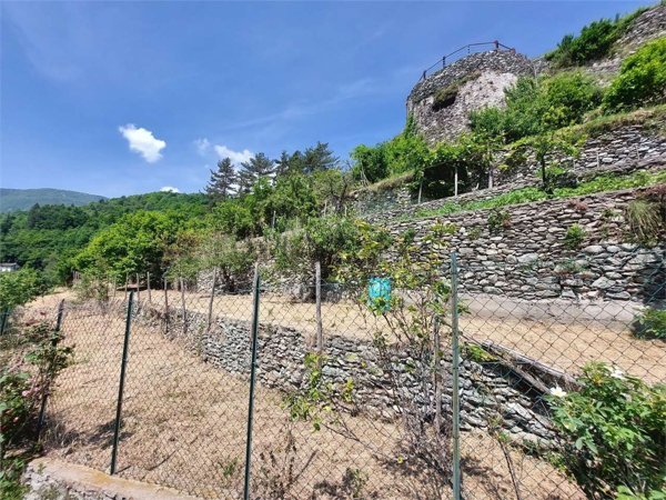 immagine annuncio 0 di 1
