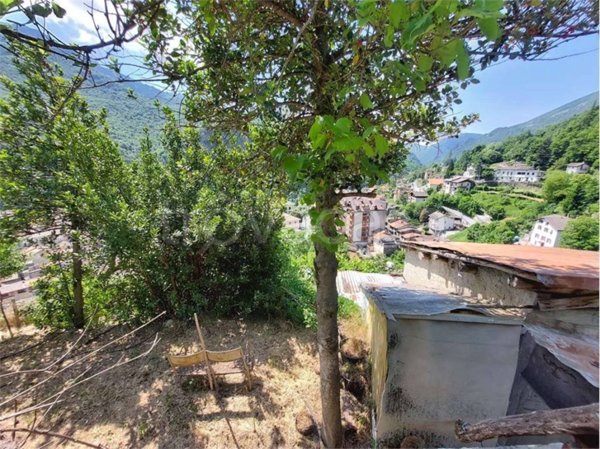 terreno agricolo in vendita ad Ormea