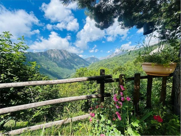 casa indipendente in vendita ad Ormea in zona Ponte di Nava