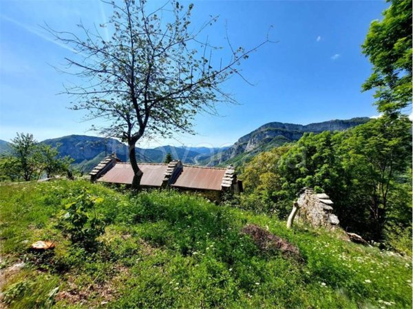 casa indipendente in vendita ad Ormea in zona Quarzina