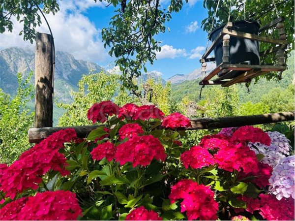 casa indipendente in vendita ad Ormea in zona Ponte di Nava