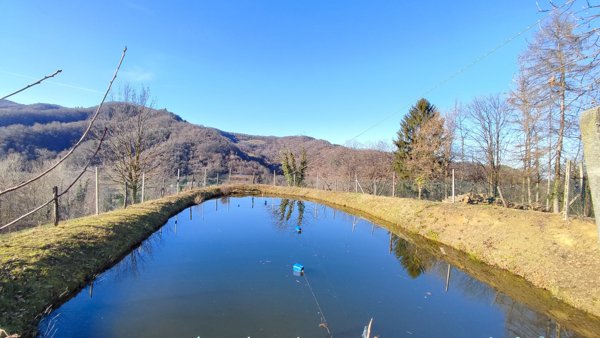 locale di sgombero in vendita a Pagno