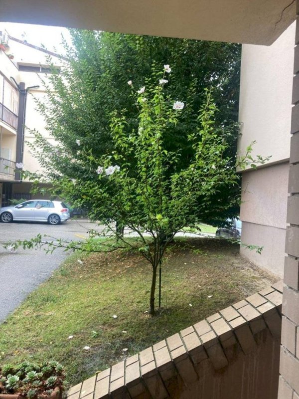 appartamento in vendita a Piobesi d'Alba