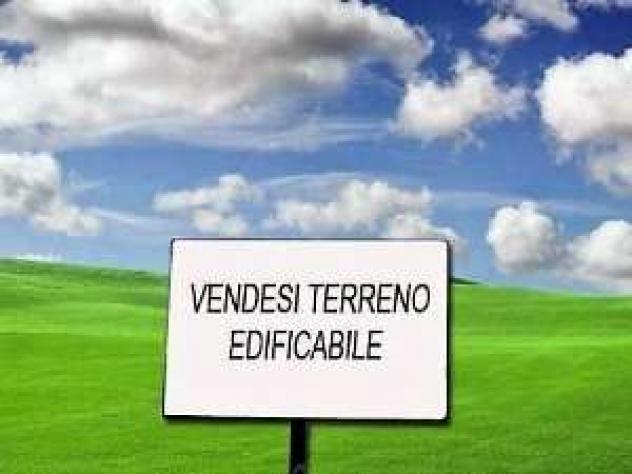 terreno agricolo in vendita a Piobesi d'Alba