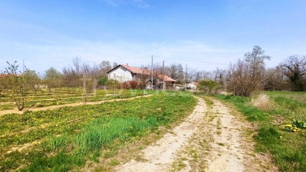 terreno agricolo in vendita a Piozzo