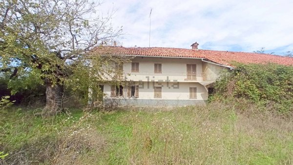 esavano in vendita a Piozzo