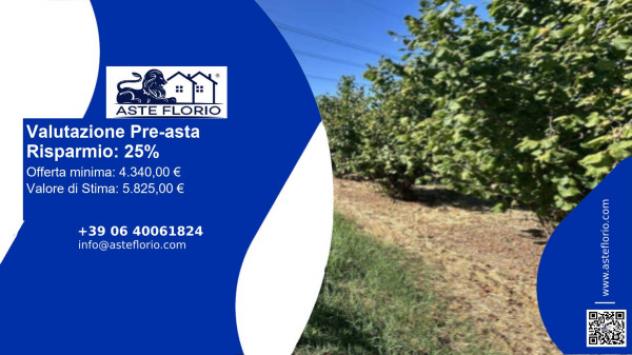 terreno agricolo in vendita a Piozzo